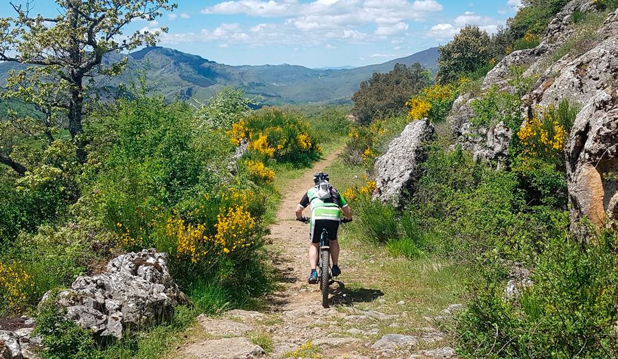 Perimetral Peñacorada 2022