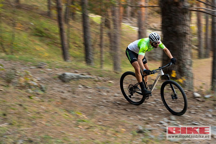 Accion Cannondale Scalpel HT (5)