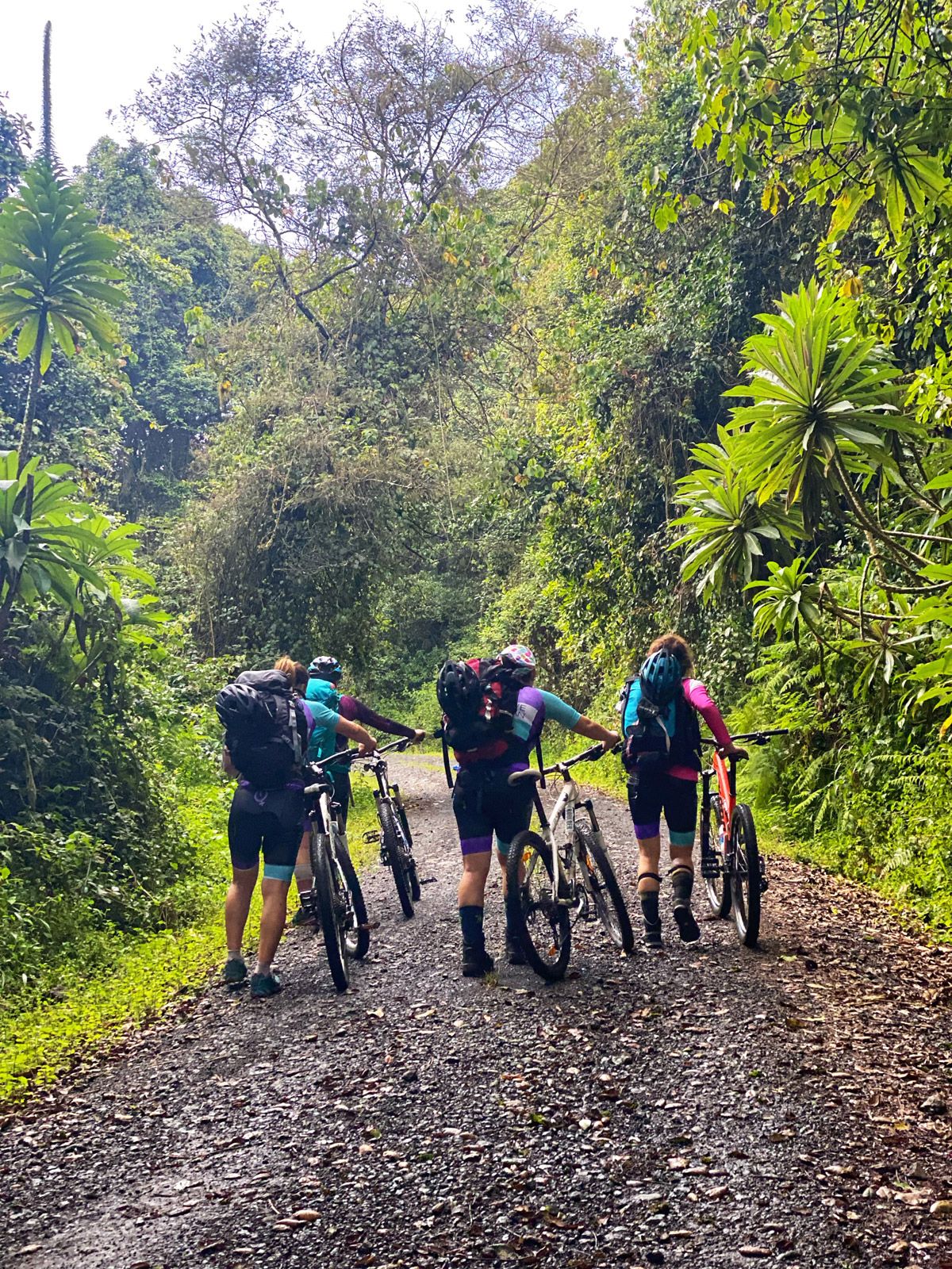 La Magia del Kilimanjaro. Arranca la aventura hacia la cima del Kilimanjaro La Magia del Kilimanjaro. Arranca la aventura hacia la cima del Kilimanjaro