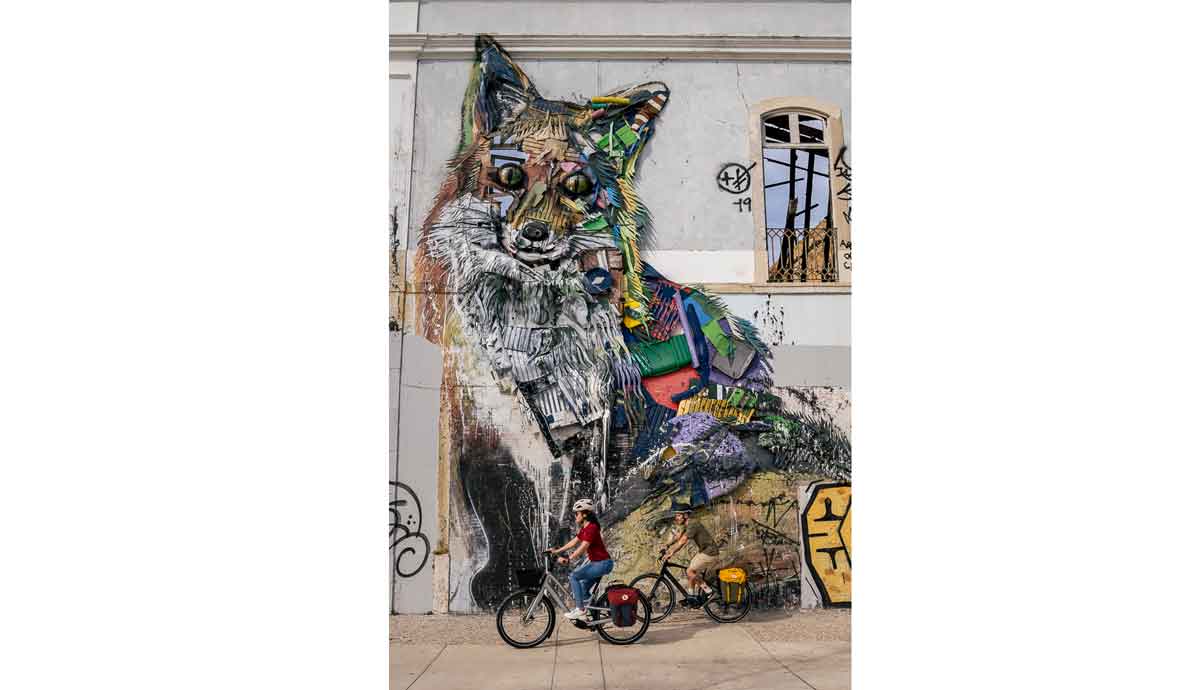 Specialized Fjallraven la marca del zorro con el zorro de Lisboa Specialized Fjallraven la marca del zorro con el zorro de Lisboa