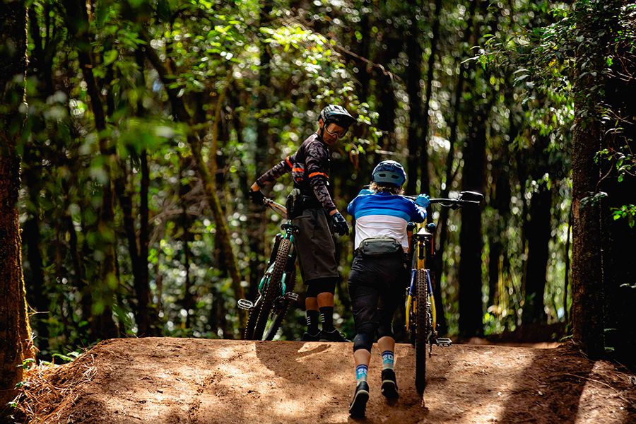 img 9968 62566eb7b2d96