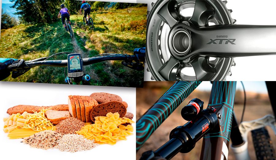 Top MTB 10