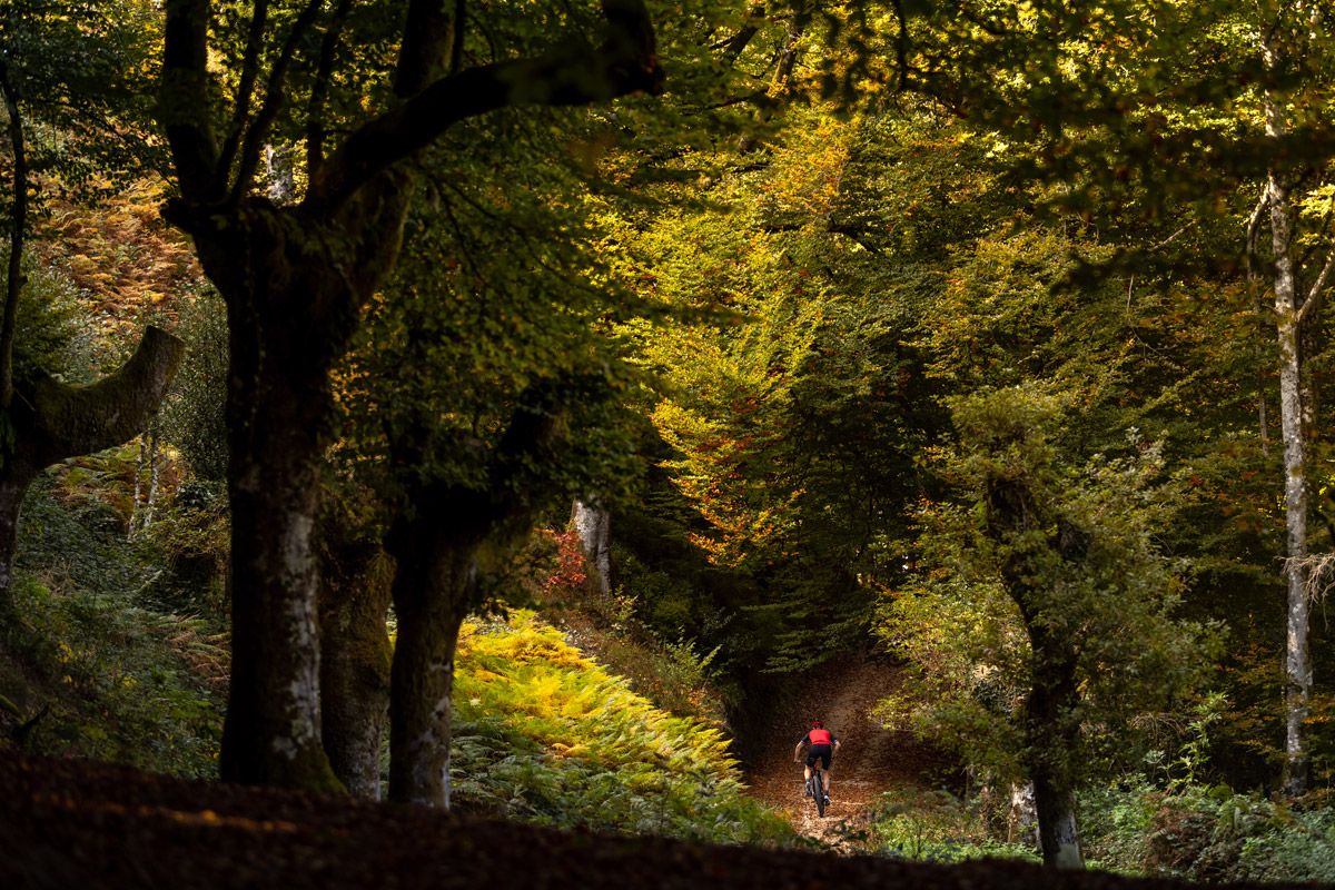 Ruta. Gorbeia Bira Bike Tour  (19)