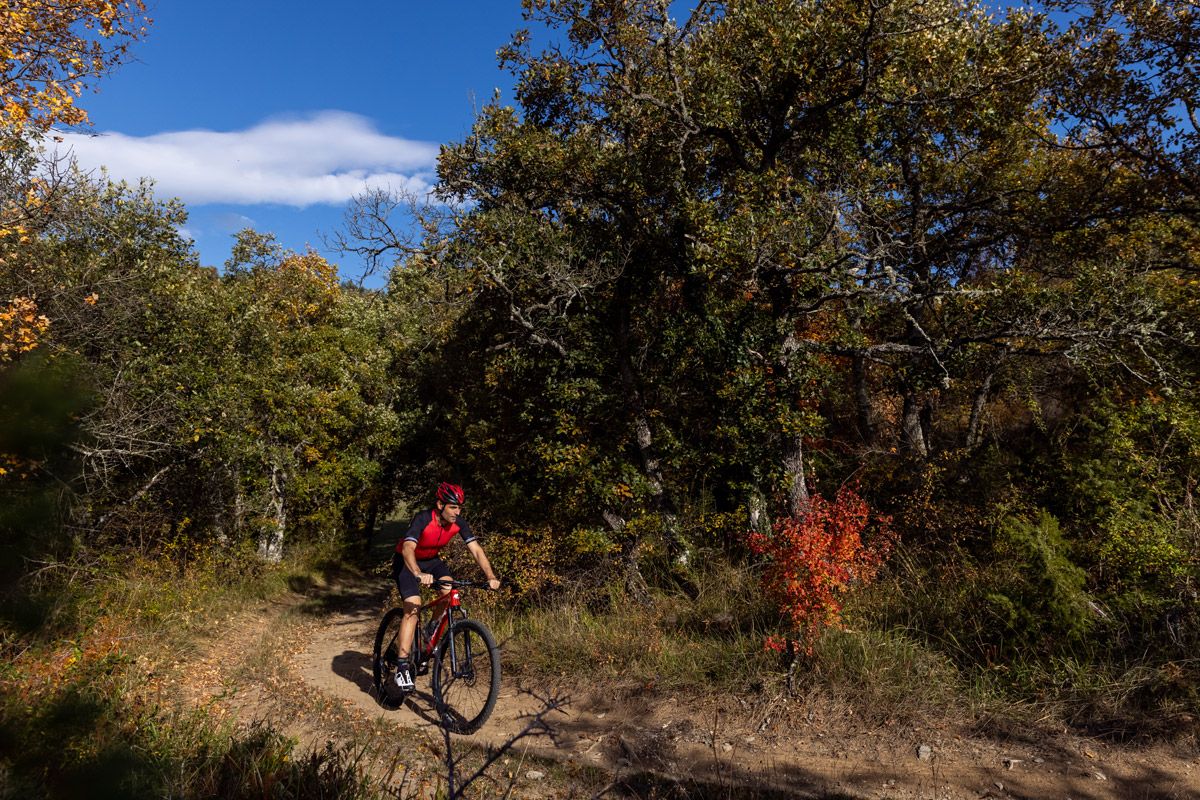 Ruta. Gorbeia Bira Bike Tour  (9)