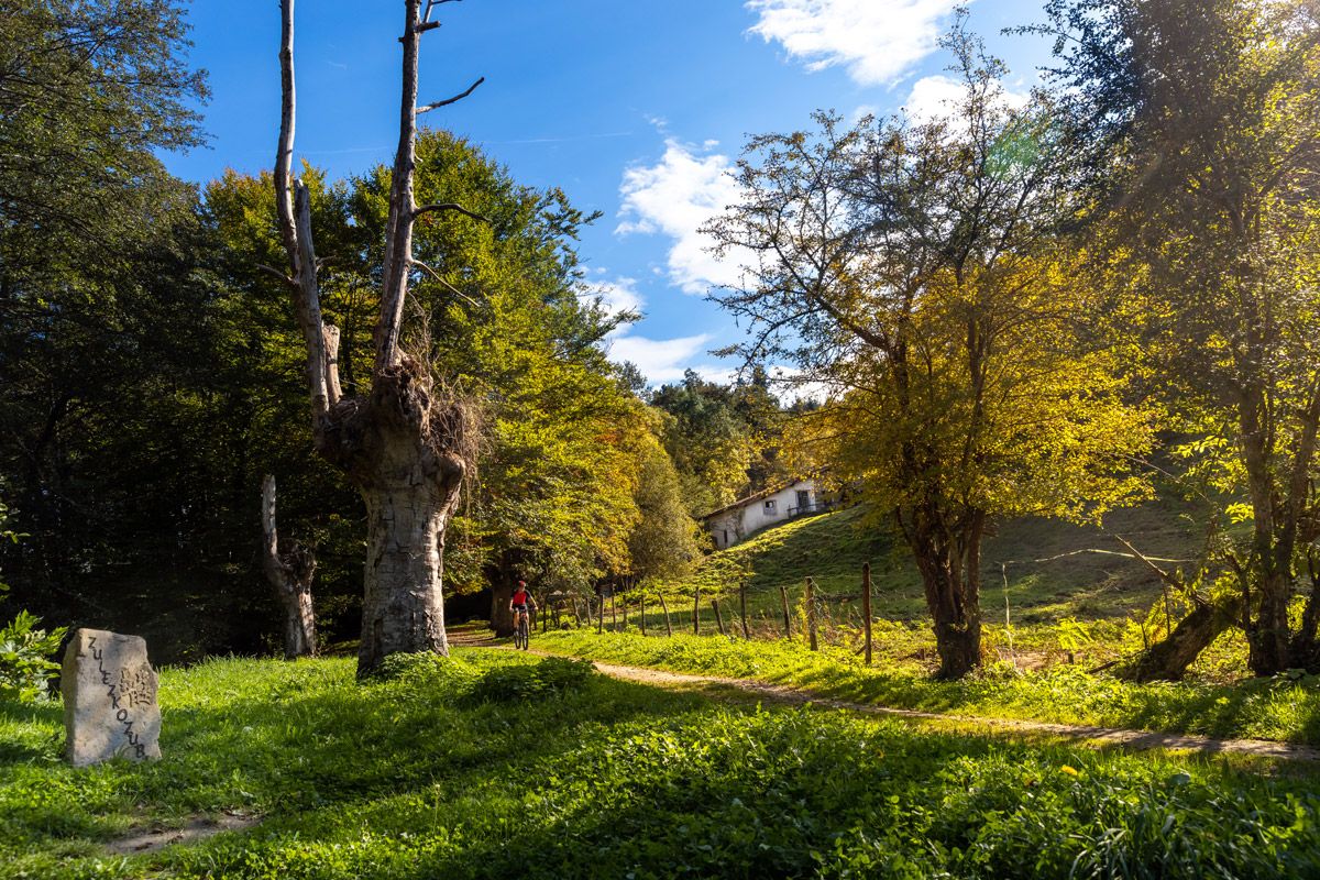 Ruta. Gorbeia Bira Bike Tour  (18)