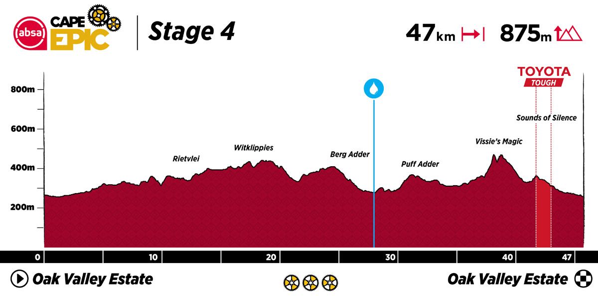 ACE23 Profiles v1 Stage 4