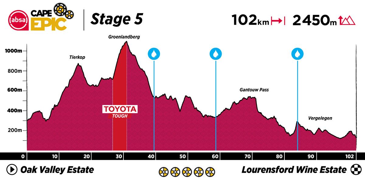 ACE23 Profiles v1 Stage 5