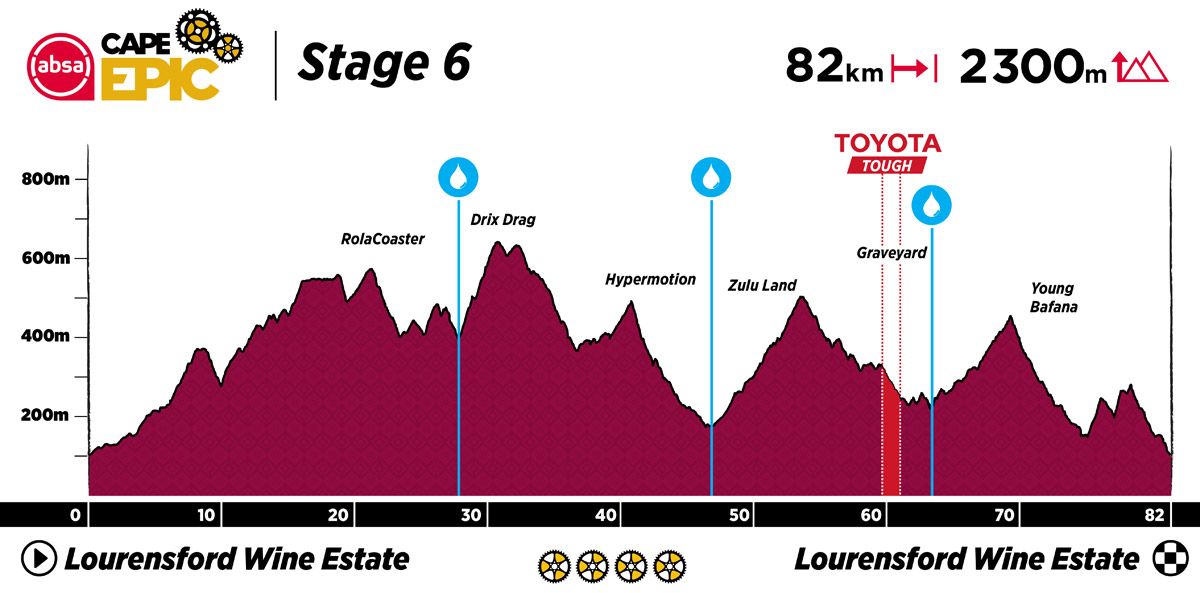 ACE23 Profiles v1 Stage 6