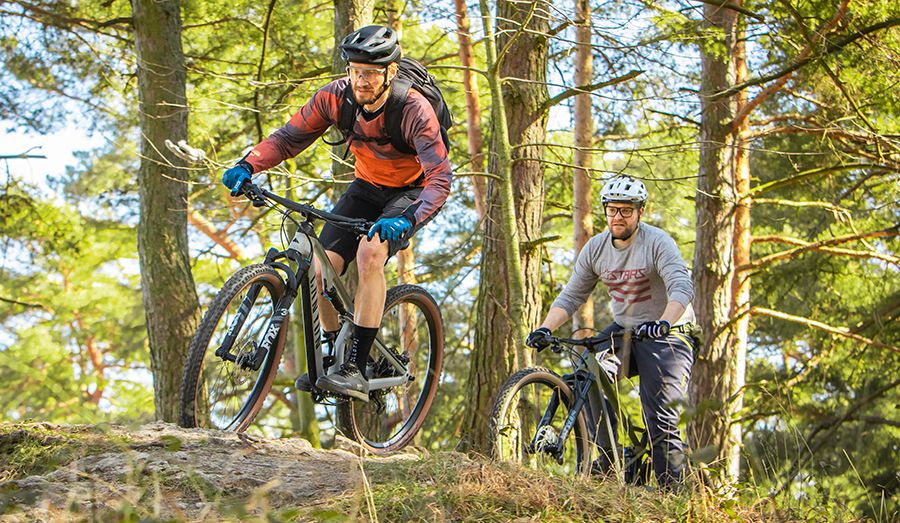 Bicis ruteras   5 dobles desde 2999 euros