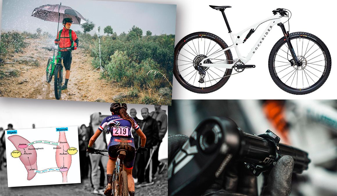 Top 10 MTB