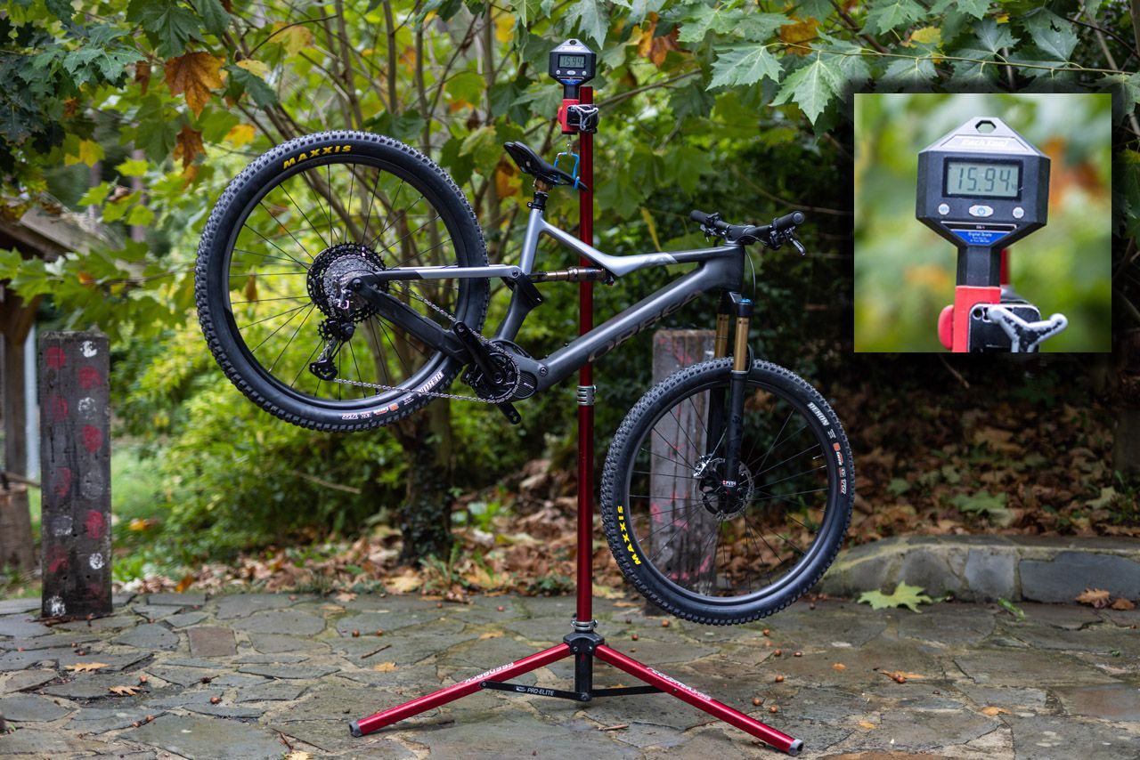 Rise Bikecheck 0(1)