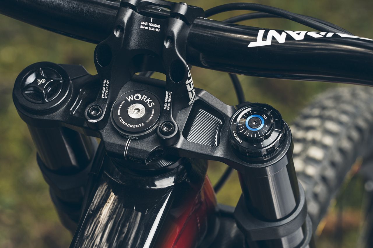 RockShox BoXXer (8)