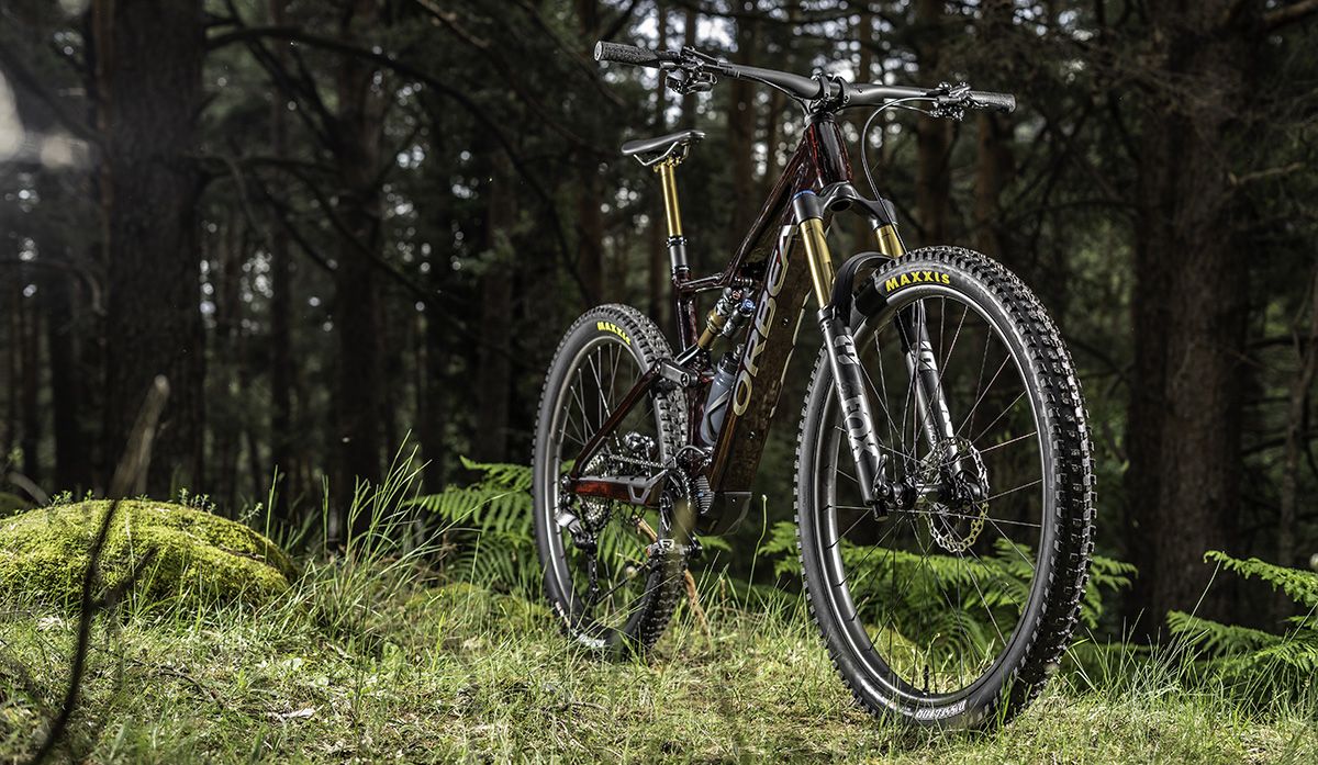 Orbea Rise M LTD