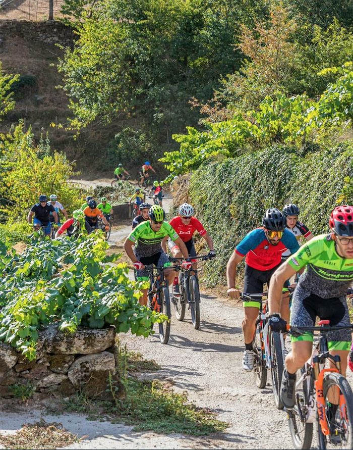 Santa Cruz Bike Rio sil (3)