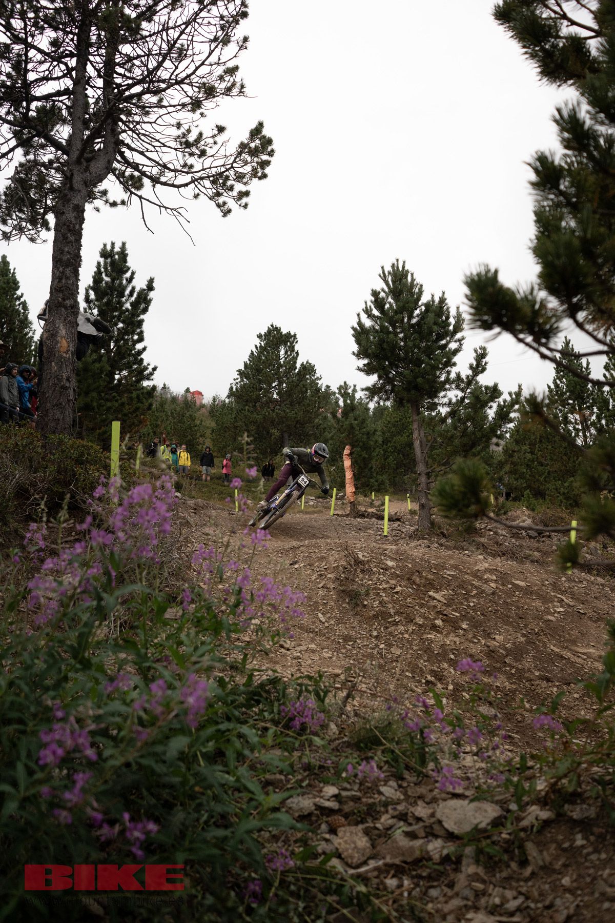 @15rge photo  (68)