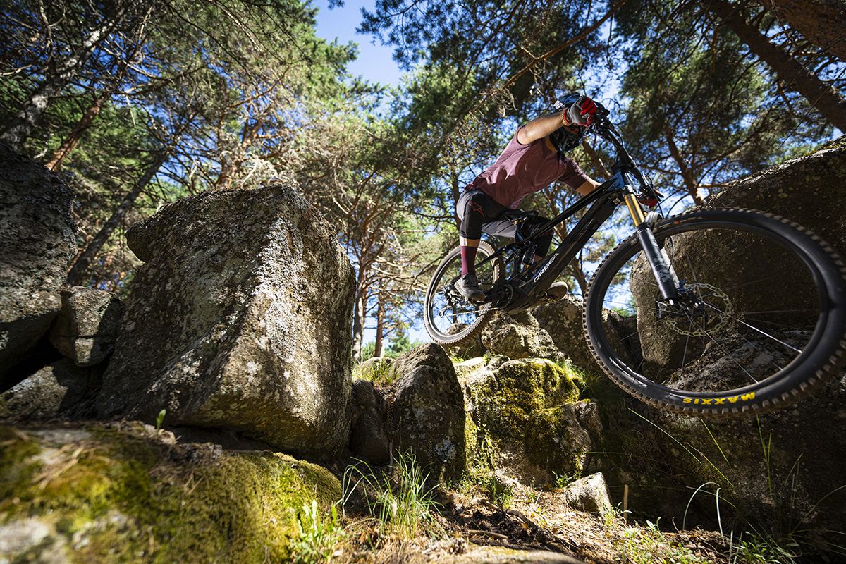 Acción Orbea Wild 04