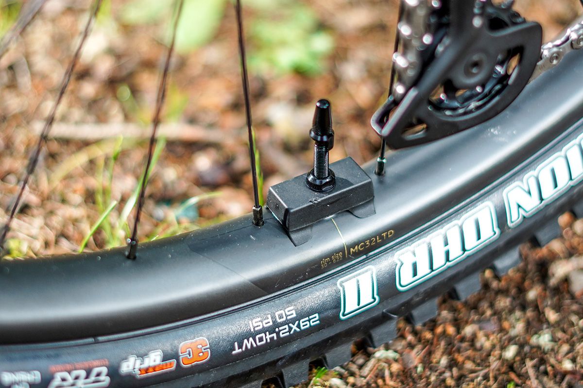 Orbea Wild 5