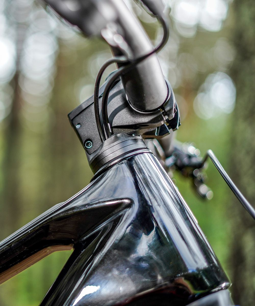 Orbea Wild 6