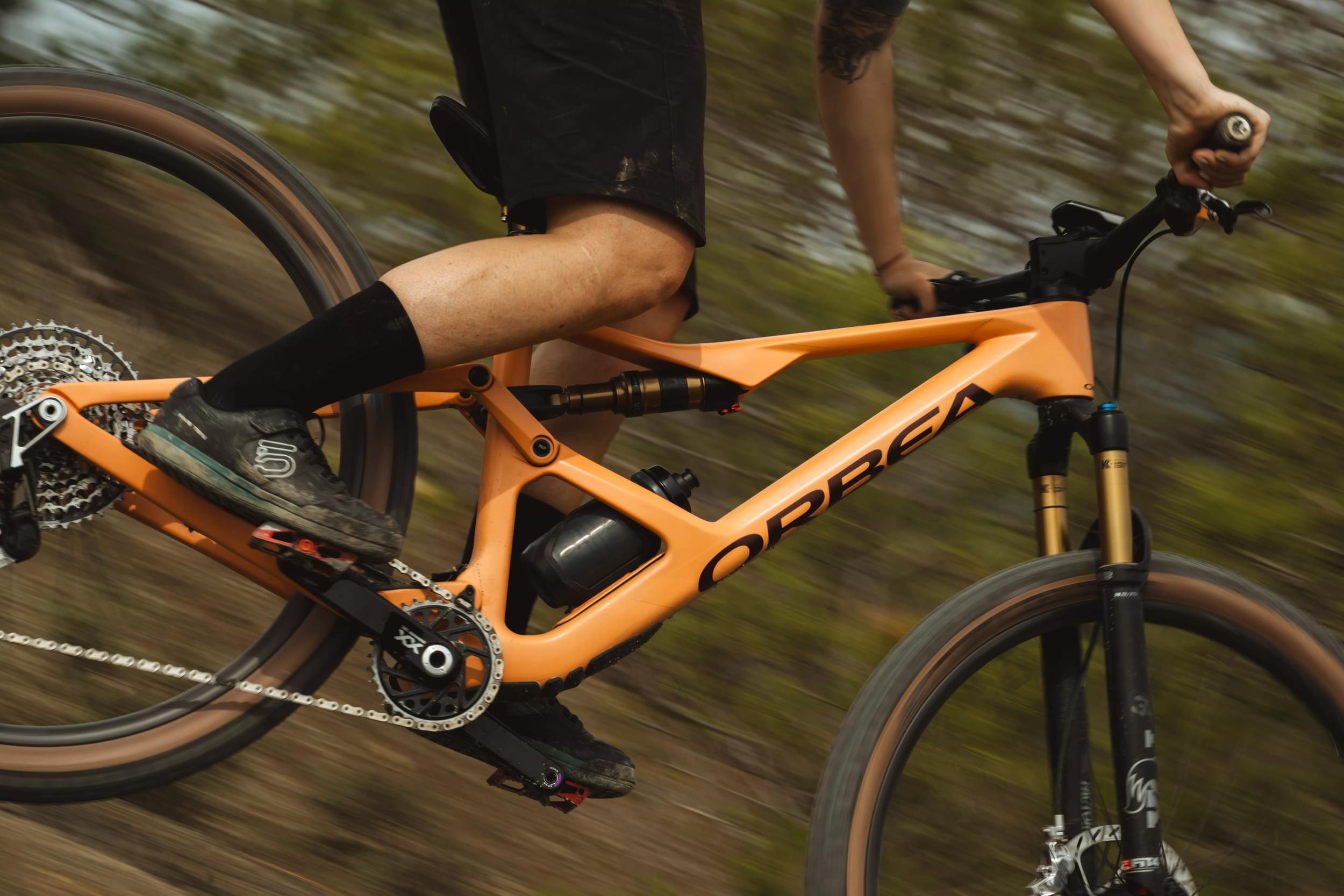 Orbea Occam SL y LT 2024 (1)