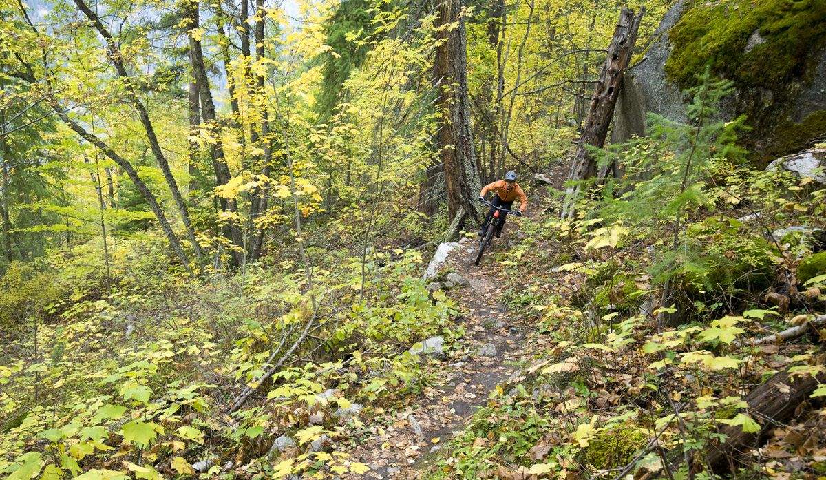 Descansar en otoño 10 preguntas que te ayudarán a decidirlo Descansar en otoño 10 preguntas que te ayudarán a decidirlo