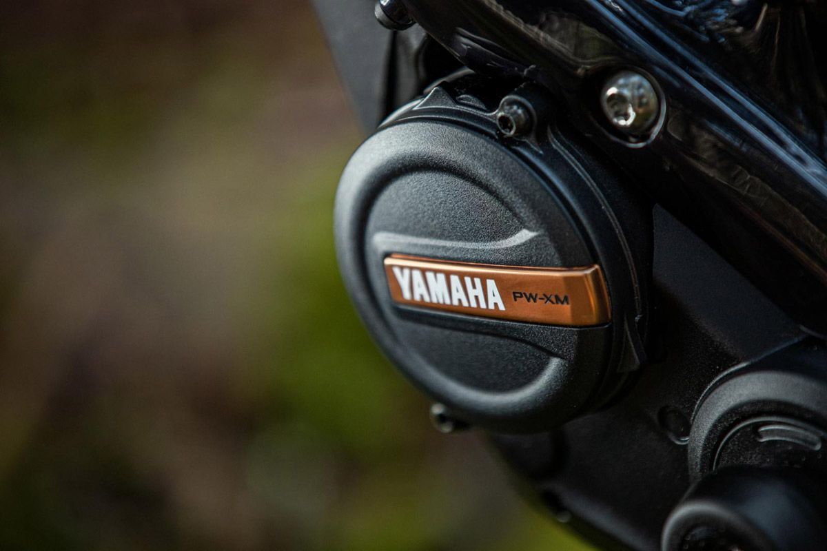 Nuevo motor Yamaha PW XM (15)