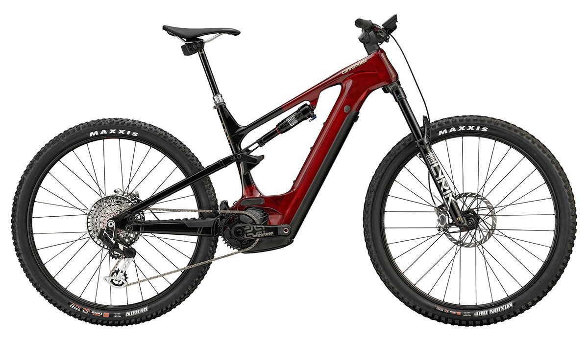 Cannondale (9)