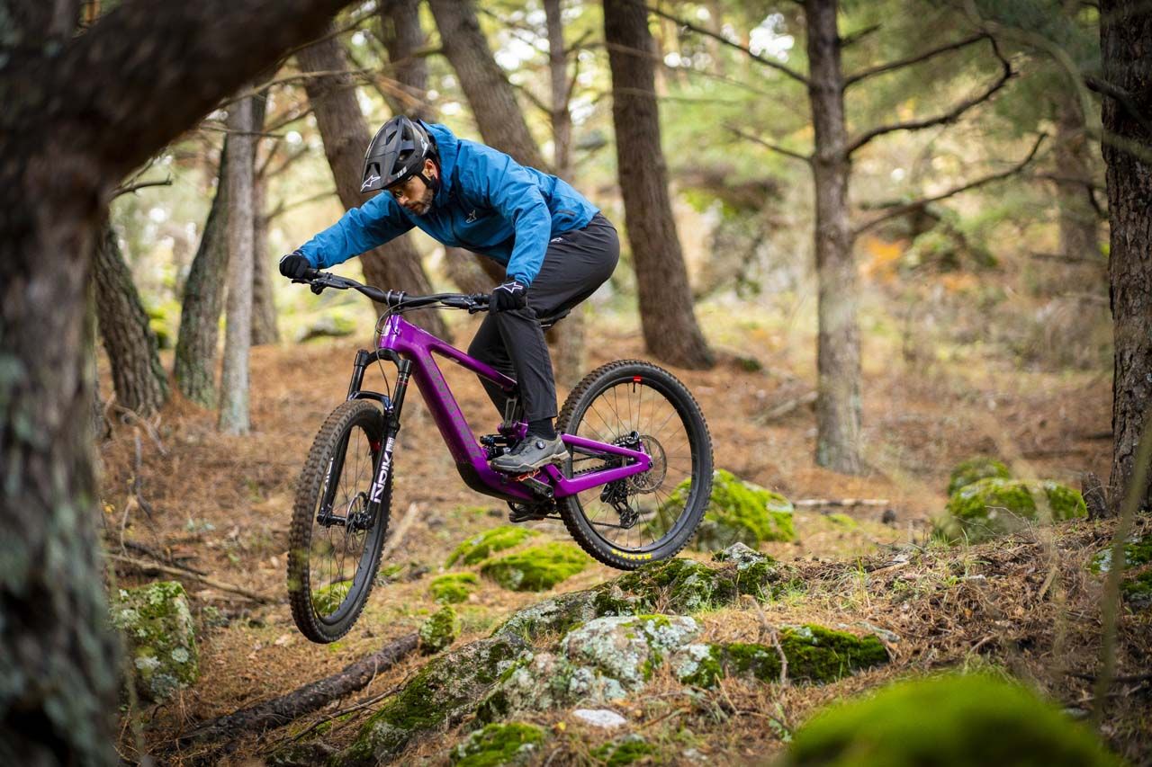 Santa Cruz Heckler SL (119) Santa Cruz Heckler SL (119)