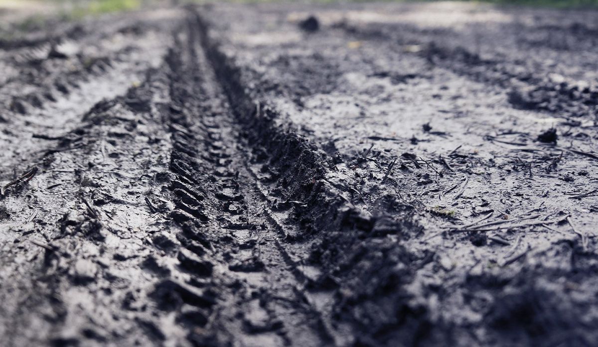 Cómo elegir neumáticos de invierno