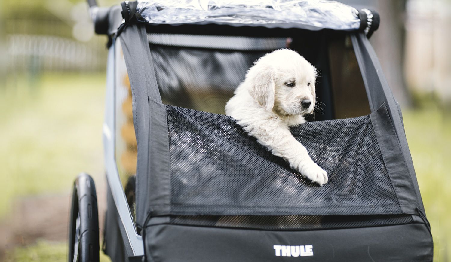 Thule Courier. El remolque perfecto para niños y mascotas