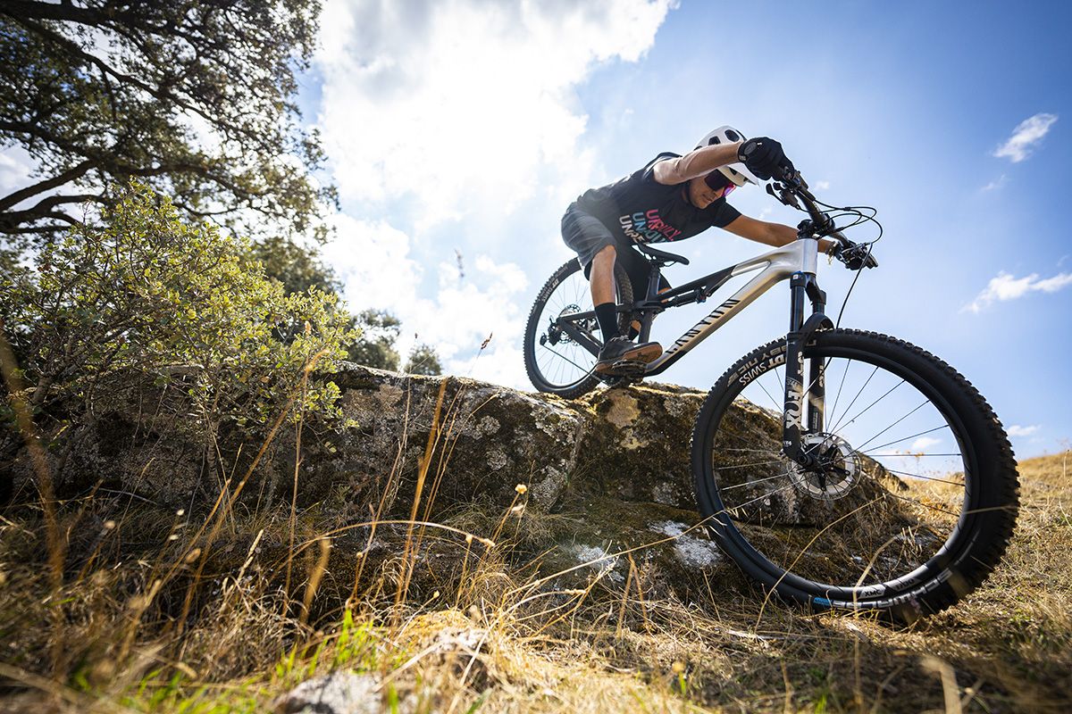 Accion Canyon Neuron (10)