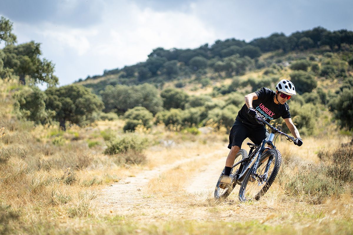 Accion Canyon Neuron (1)