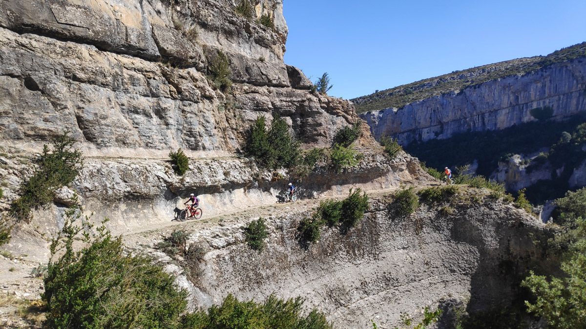 Primer premio RUTA (4)
