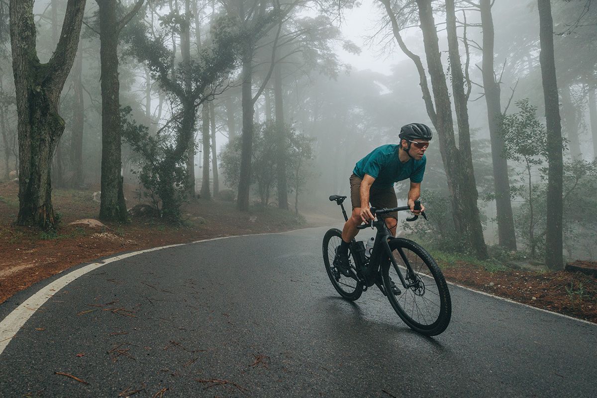 Specialized Creo 2 2024 (3)