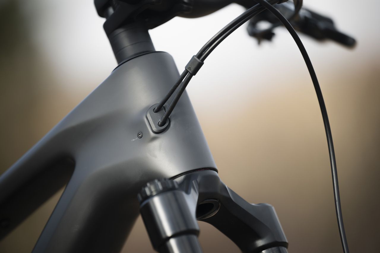 Canyon Spectral 2024 (14)