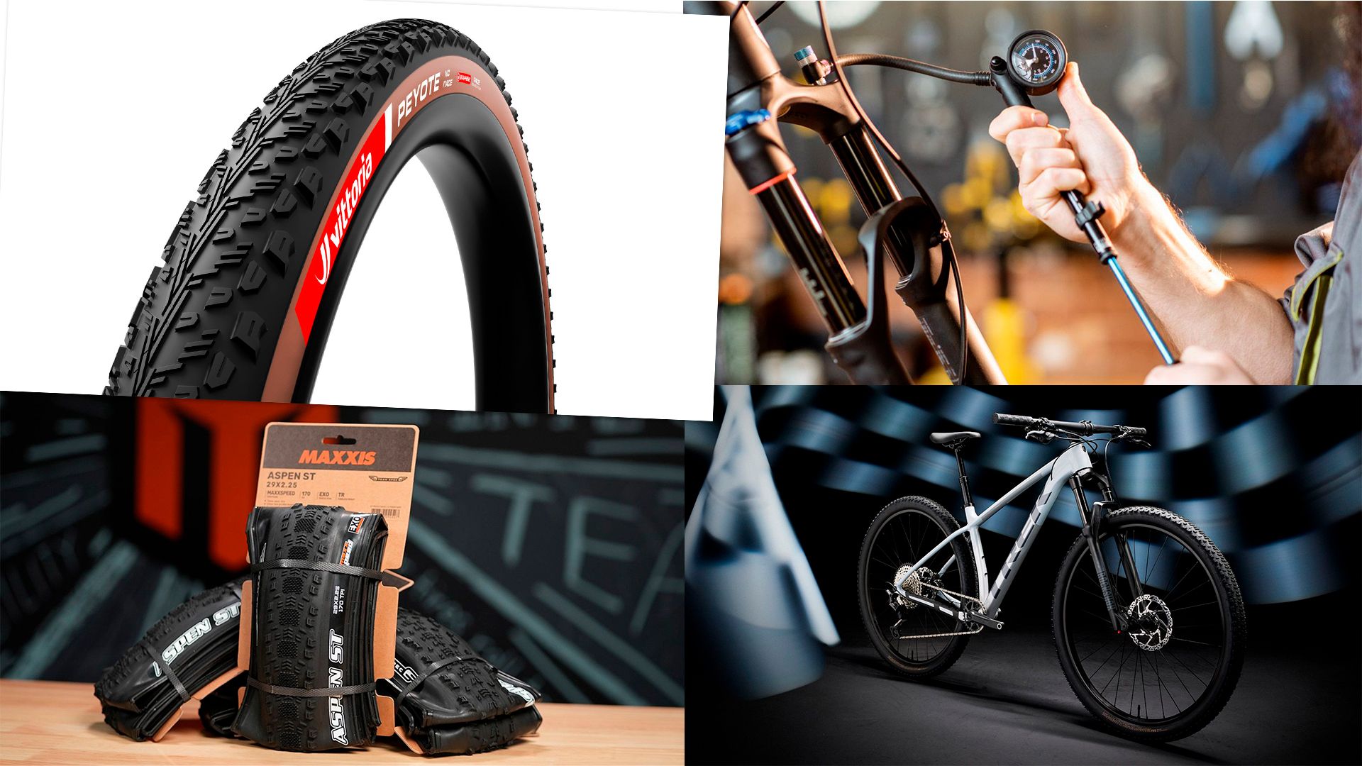 Top 10 MTB
