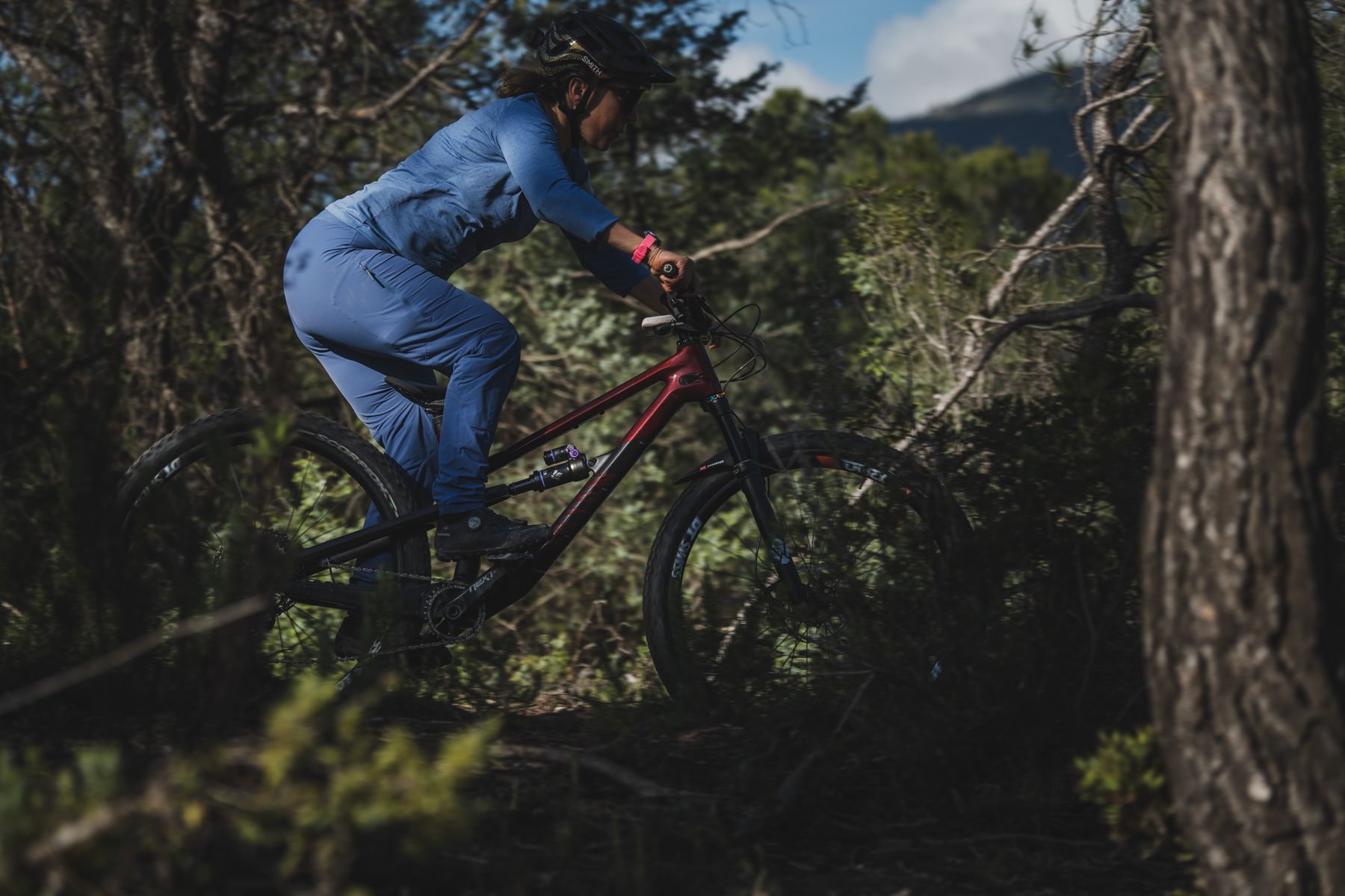 Formula Nebbia mtb shock action 3