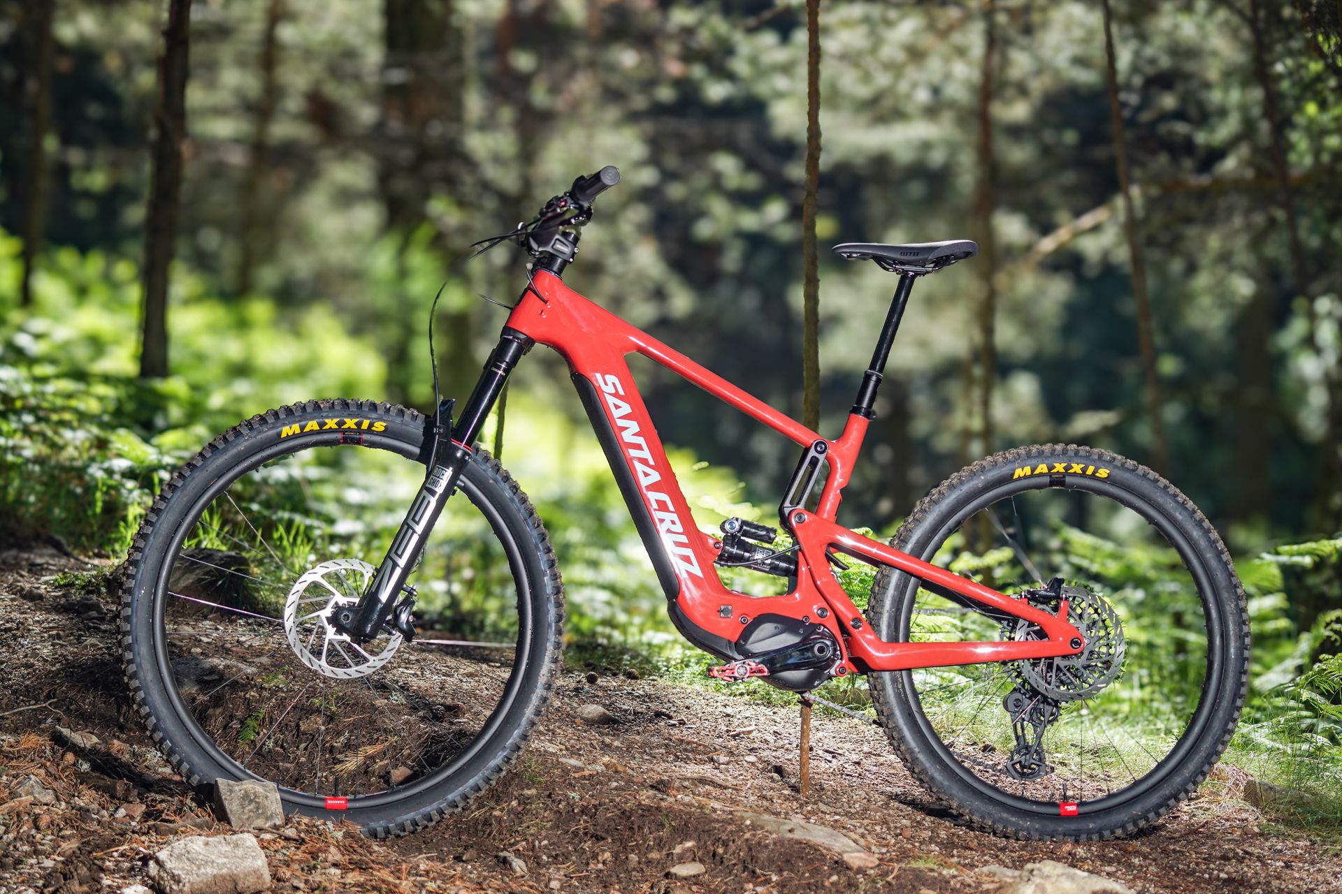 Santa Cruz Heckler (1)
