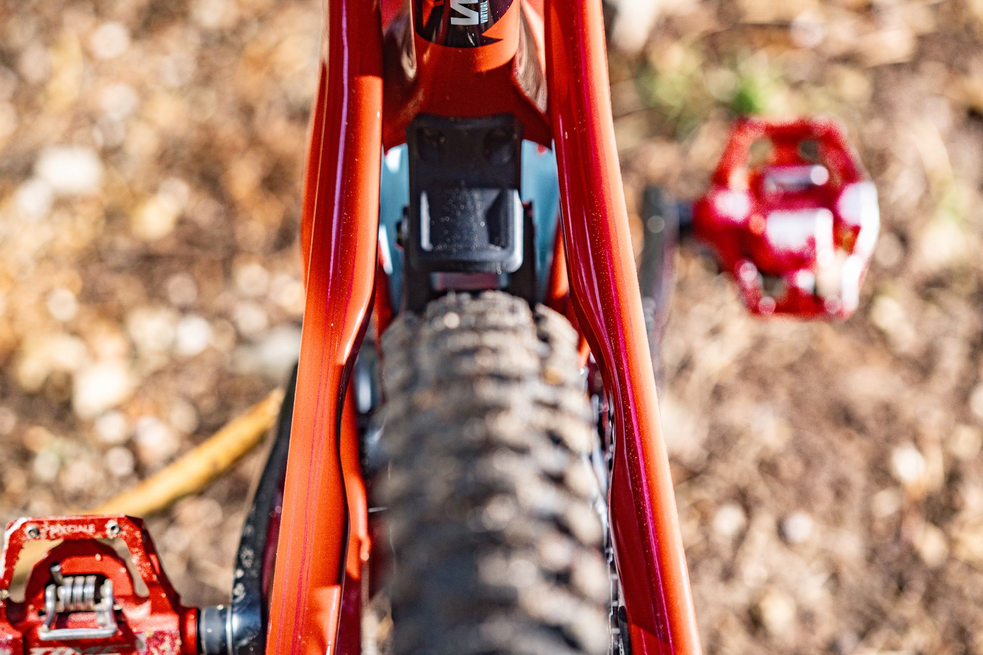 Santa Cruz Heckler (8)