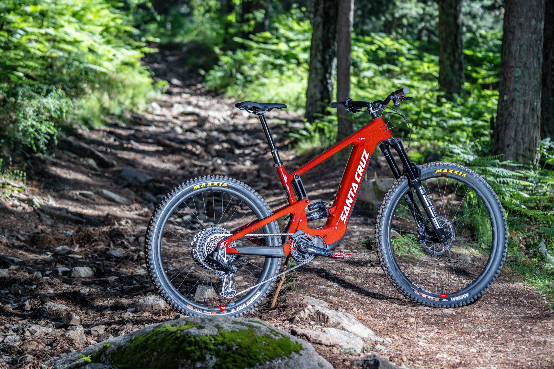 Santa Cruz Heckler (13)