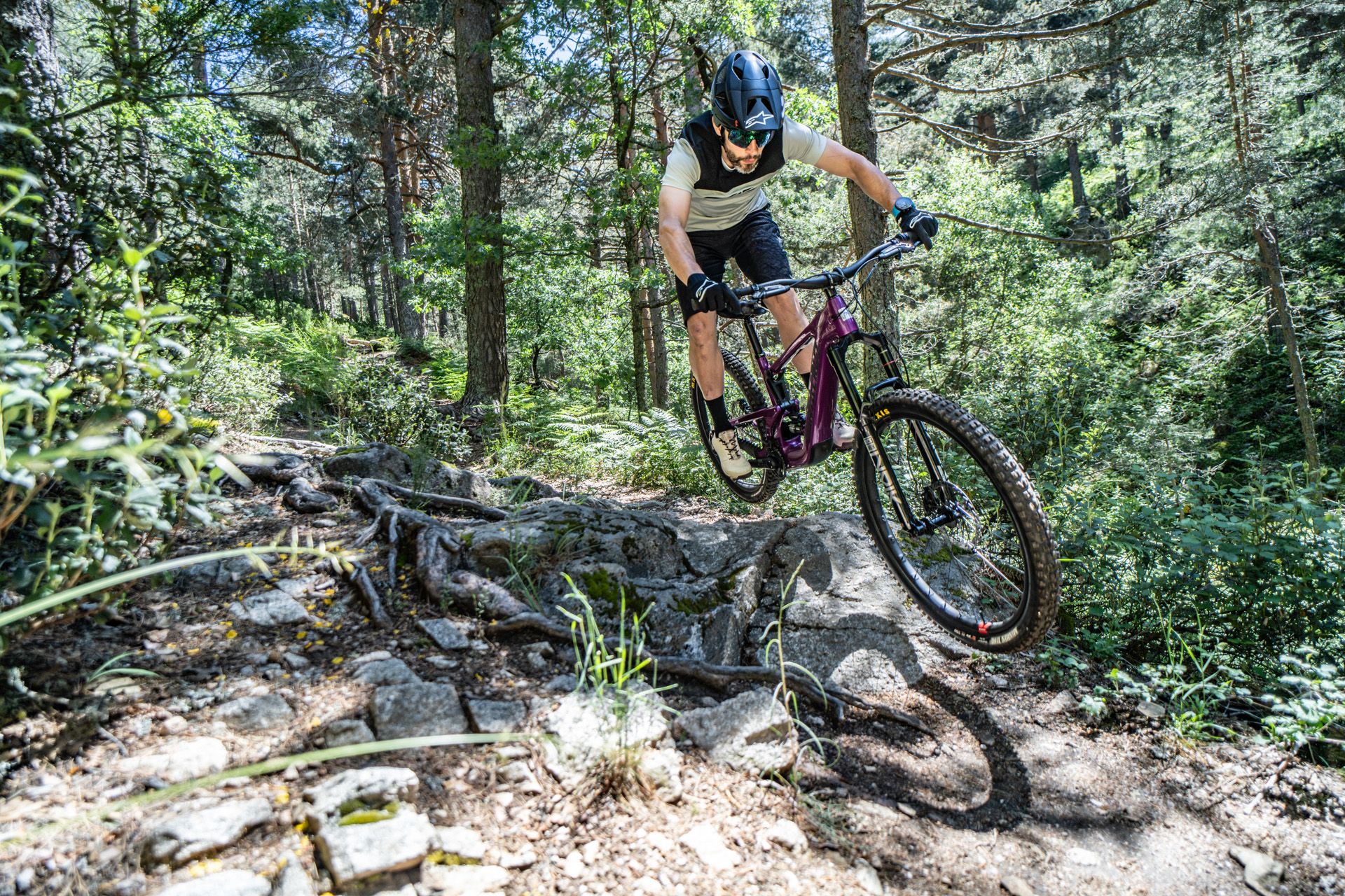 Santa Cruz Heckler vs. Heckler SL (1)