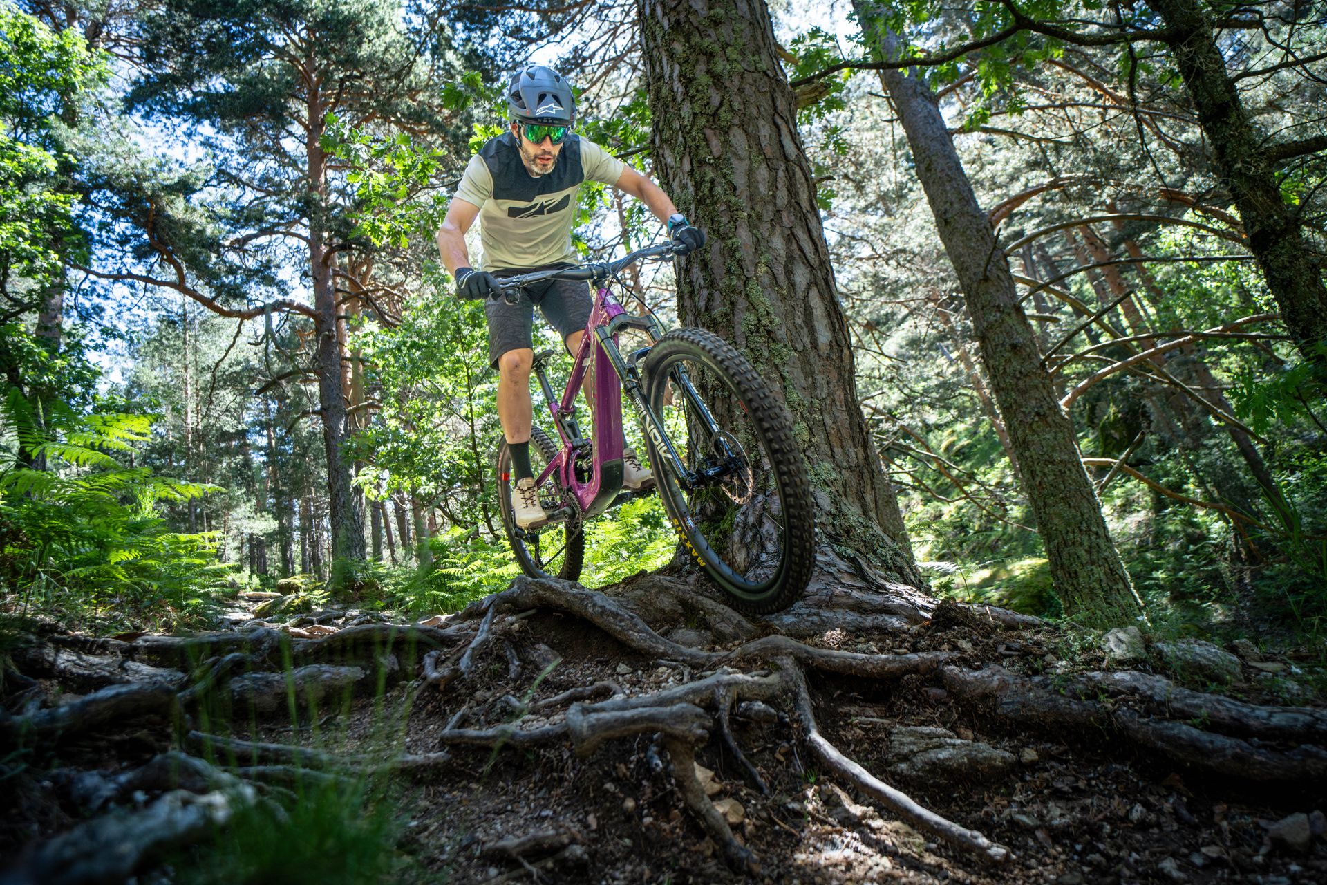 Santa Cruz Heckler vs. Heckler SL (4)
