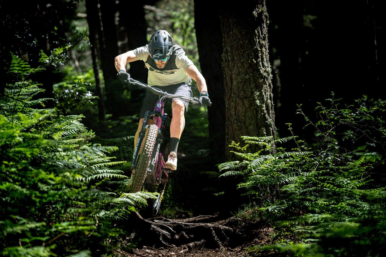Santa Cruz Heckler vs. Heckler SL (3)