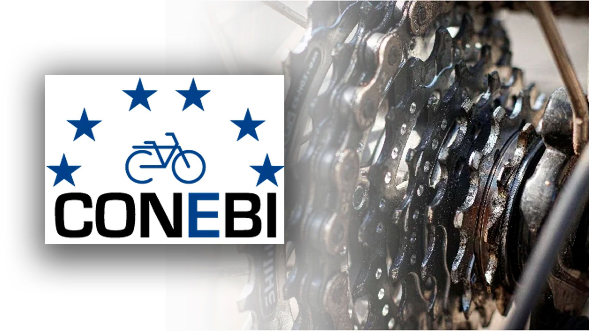 La industria europea de la bicicleta resistencia pese a los desafíos de 2023