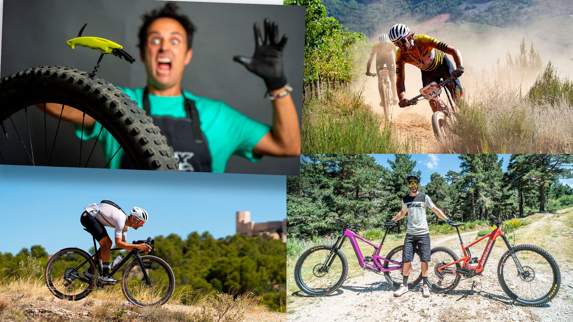 Top 10 MTB