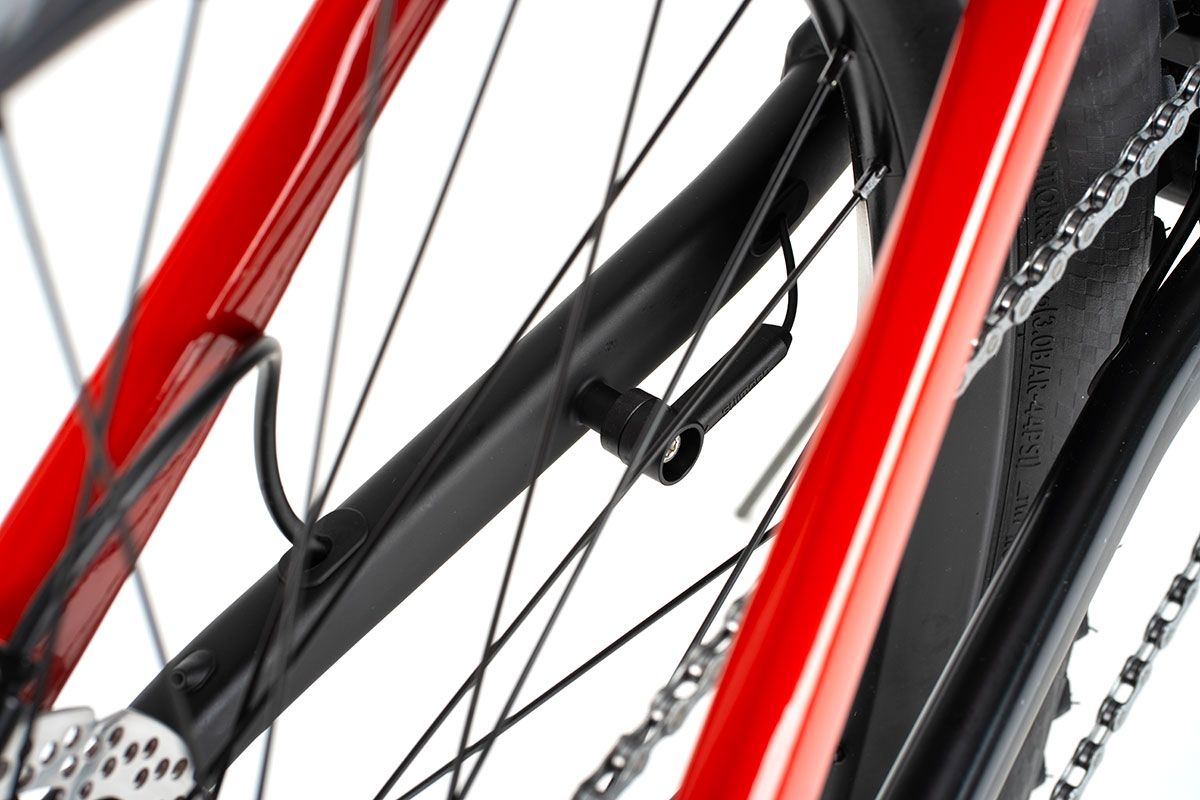Estudio Beeq M850 Wild (17)