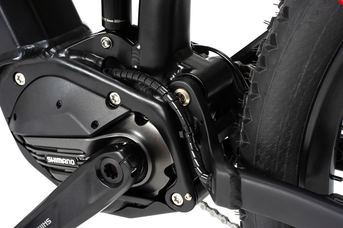 Estudio Beeq M850 Wild (20)