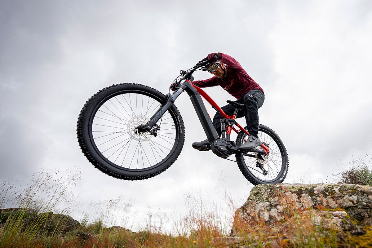 Accion Beeq M850 Wild04