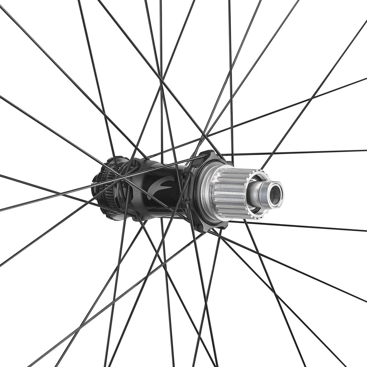 2025 Fulcrum Metal Carbon studio  1 4 hub rear