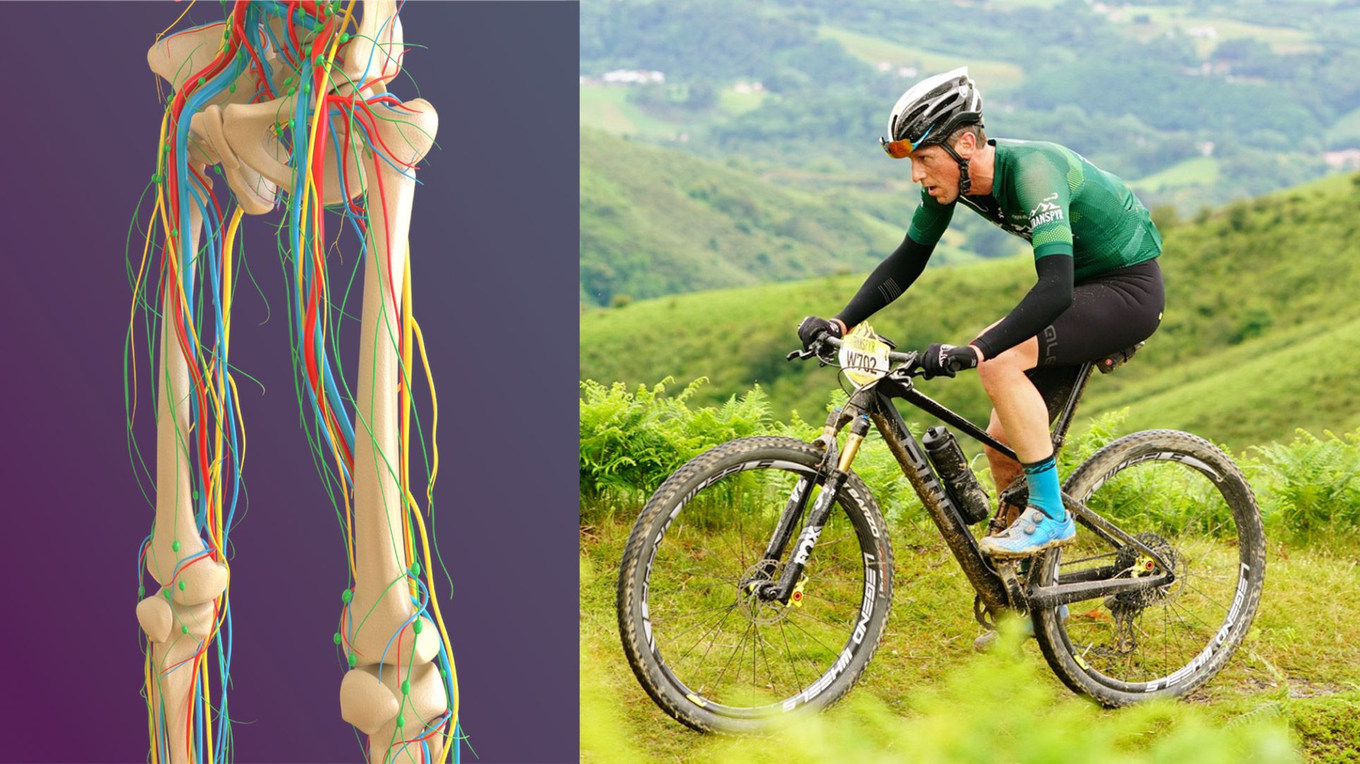 Endofibrosis, una lesión también de ciclistas