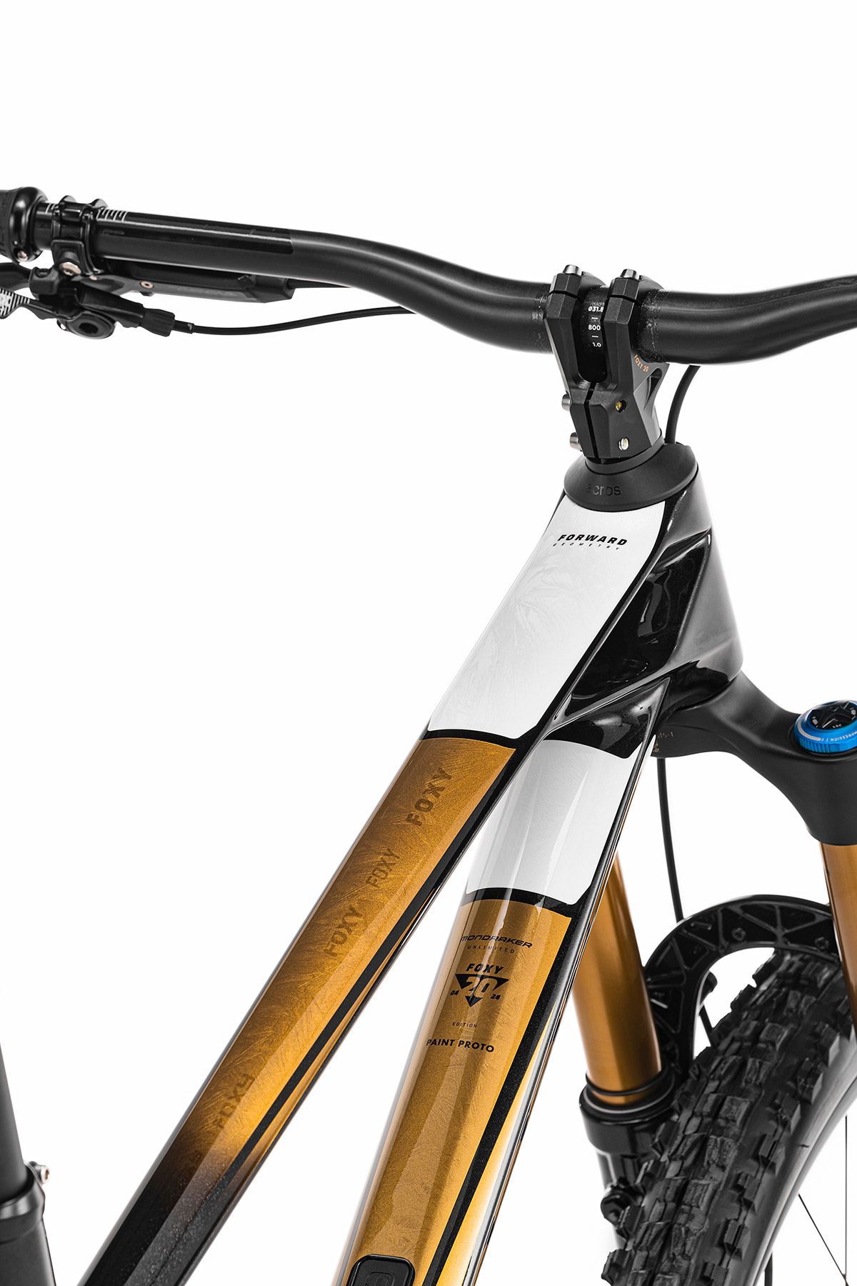 Mondraker Foxy 20 aniversario 13